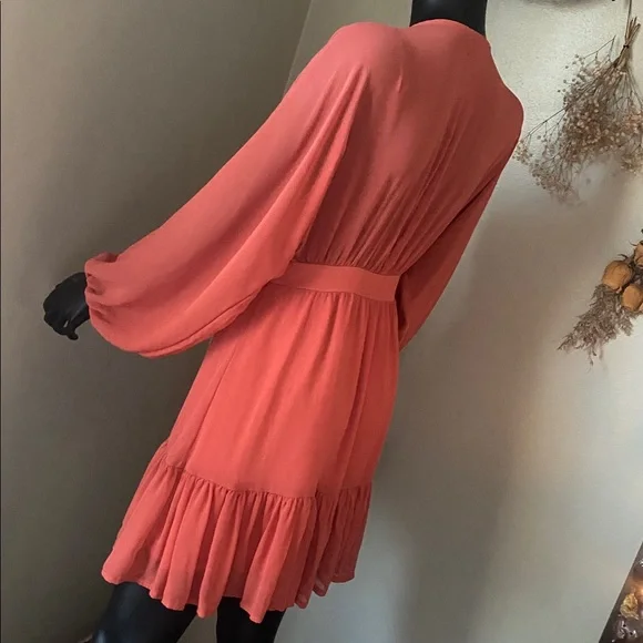 Vici Terracotta Button-Down Darling Cute Dress - Picture 9 of 13